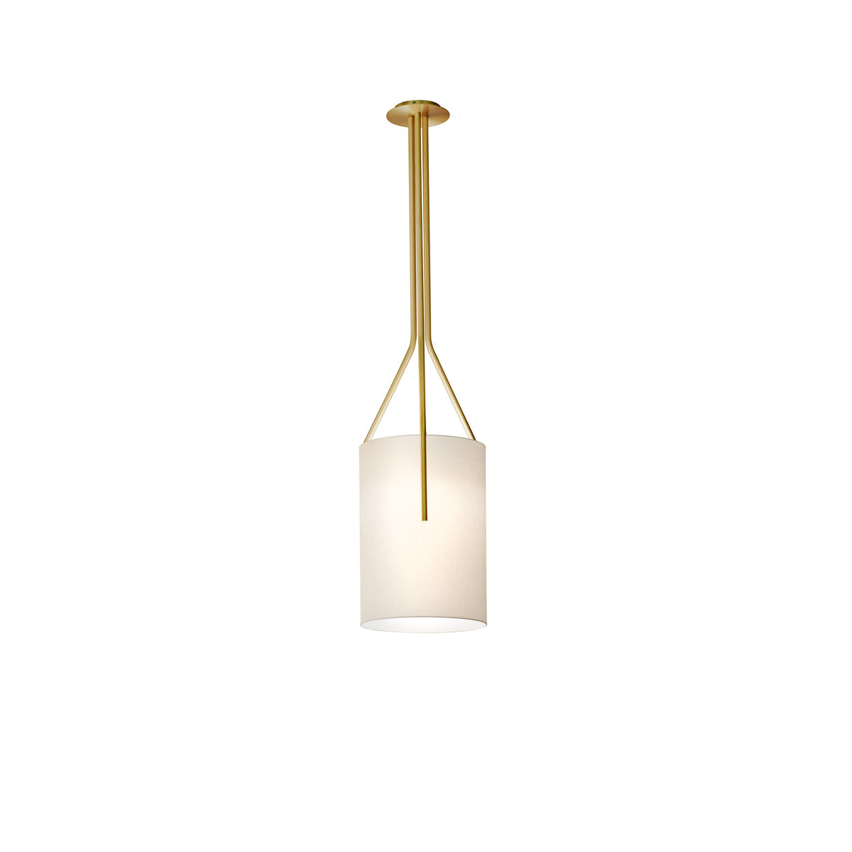 Arborescence Chandelier with Adjustable Brightness