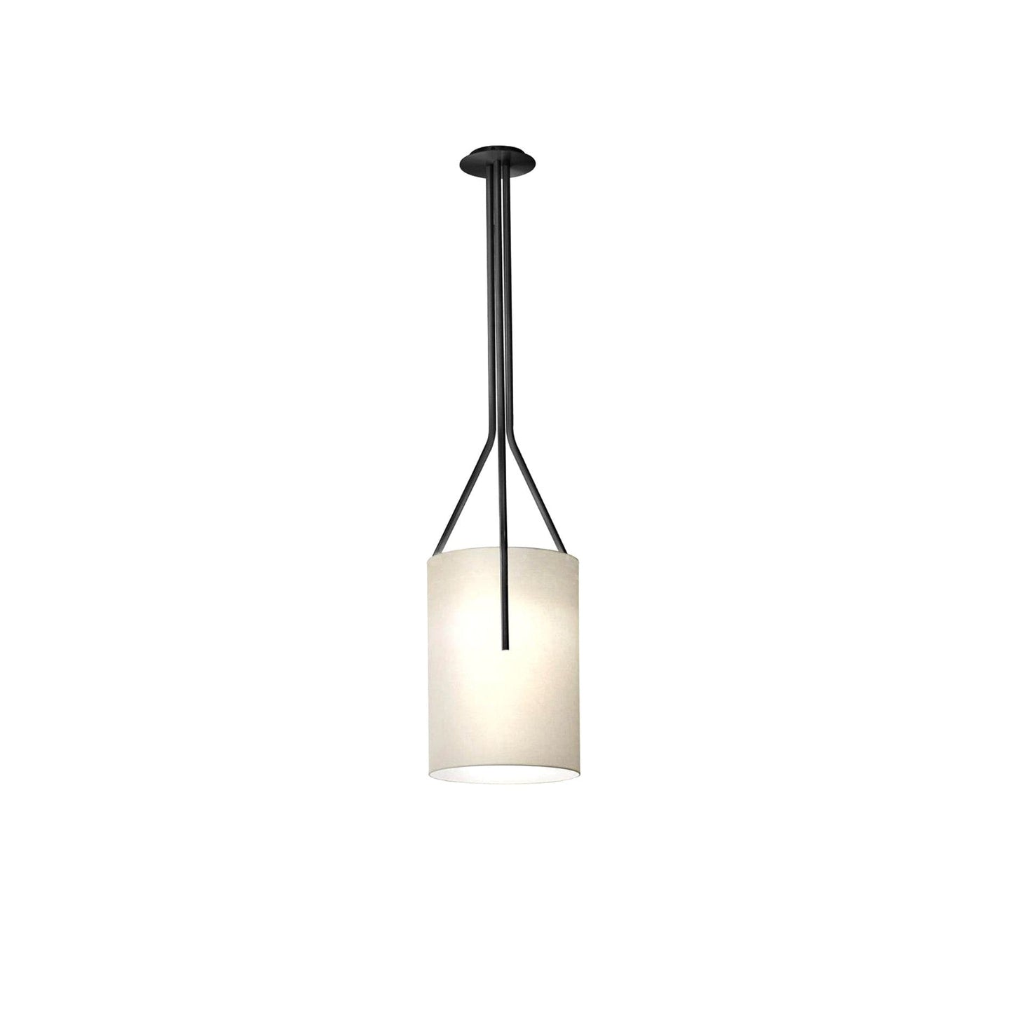 Arborescence Chandelier with Adjustable Brightness