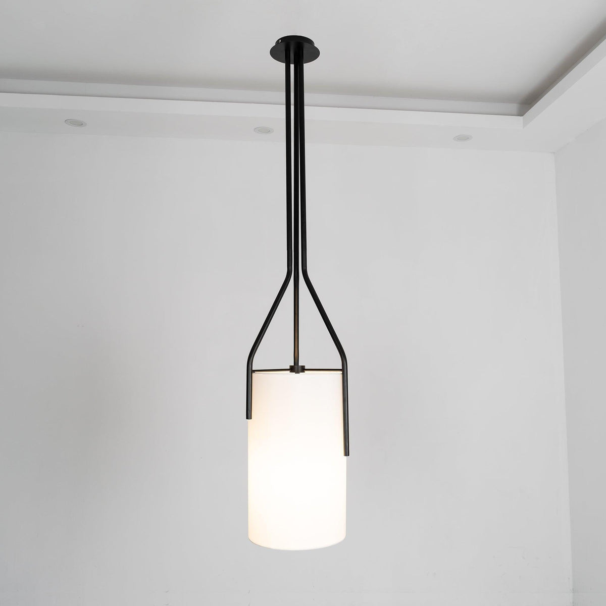 Arborescence Chandelier with Adjustable Brightness