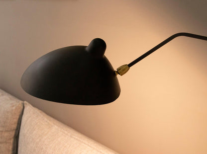 Adjustable Arm Wall Sconce, Energy-Efficient LED