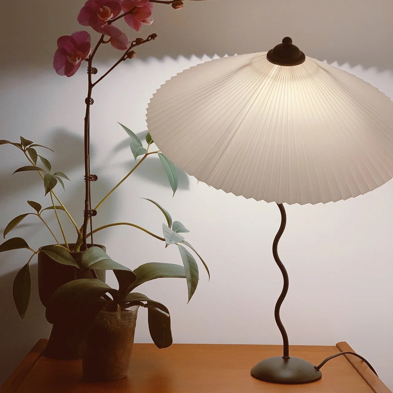 Squiggle Table Lamp with USB Charging