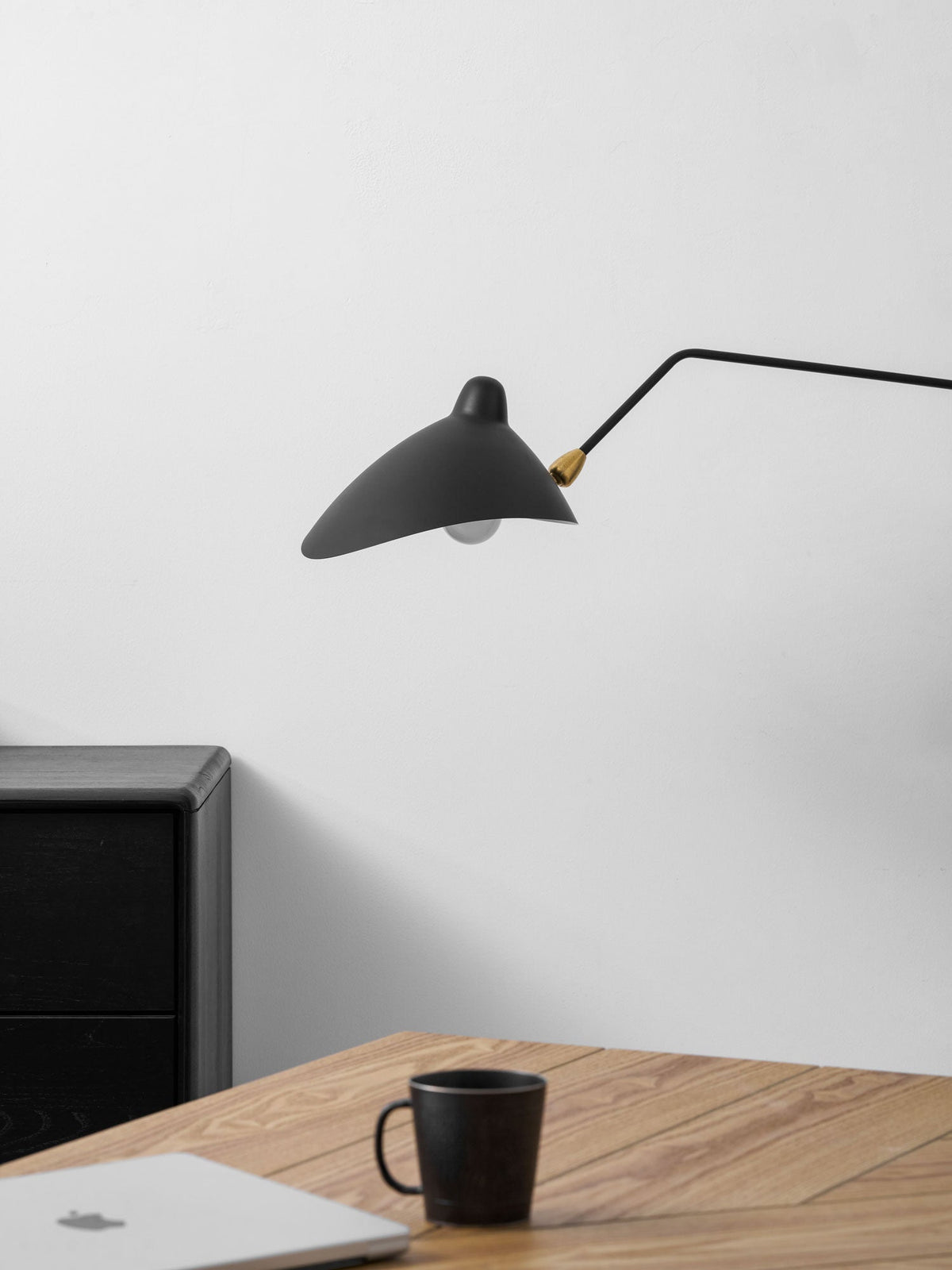 Adjustable Arm Wall Sconce, Energy-Efficient LED