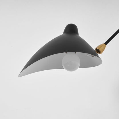 Adjustable Arm Wall Sconce, Energy-Efficient LED